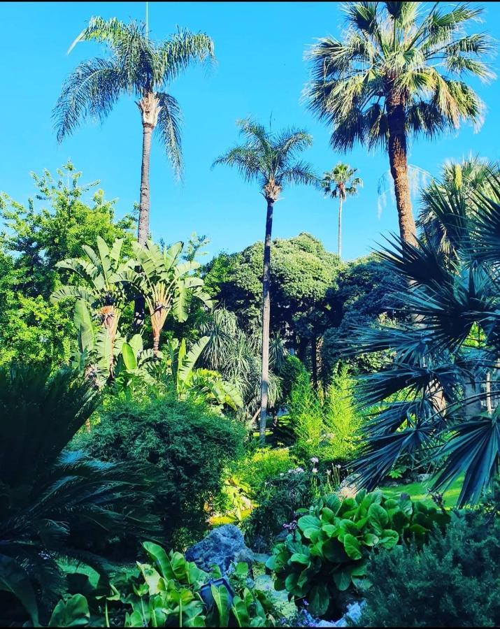 Home For 2 Few Steps From Casino Monte Carlo And Beach Beausoleil Exterior foto